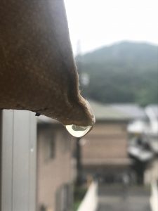 梅雨明けまだかな