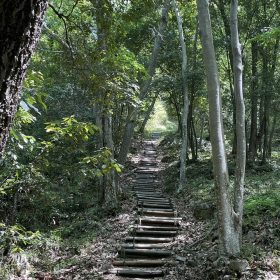 山を登りました。