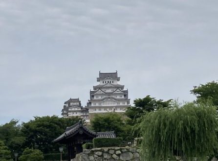 姫路で沢山歩きました！