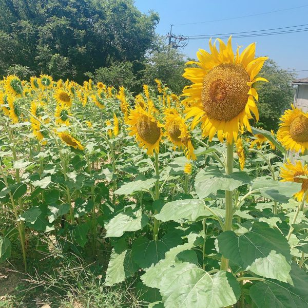 お盆休み満喫しました！